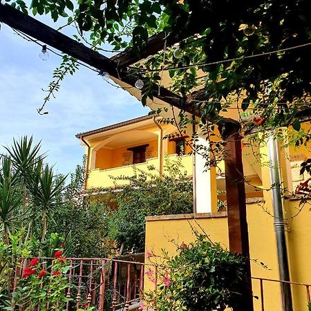 Palmas Anna'S Rooms Is Procilis Palmas Arborea Екстериор снимка
