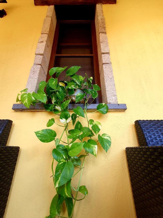 Palmas Anna'S Rooms Is Procilis Palmas Arborea Екстериор снимка